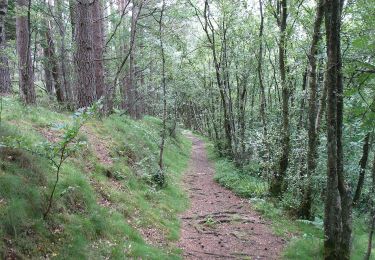 Trail On foot  - Edzell to Rocks of Solitude - Photo