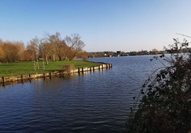 Tour Wandern Oisy-le-Verger - Oisy Le Verger Palluel - Photo