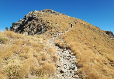 Trail Walking Valdeblore - Lacs des Millefonts de col du Barn au col Ferriere - Photo
