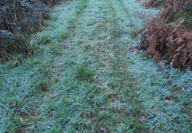 Tocht Stappen Illeville-sur-Montfort - Illeville-sur-Monfort - Le circuit des Jacinthes - Photo