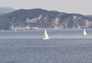 Excursión Senderismo La Ciotat - La Ciotat - Photo