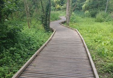 Tour Wandern Bauvin - Wingles - Photo