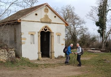 Percorso Marcia Westhalten - Westhalten - Rouffach (23/02/2023) - Photo