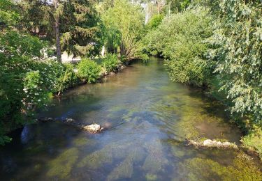Trail Road bike Paron - 058 E110 Villemaur sur Vanne-01 - Photo
