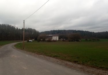 Tour Zu Fuß Buchen (Odenwald) - Rundwanderweg Bödigheim 1: Glasenberg-Weg - Photo