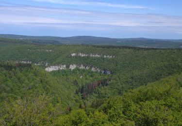 Tour Wandern Éternoz - Nans sous ste Anne, Lizon - Photo
