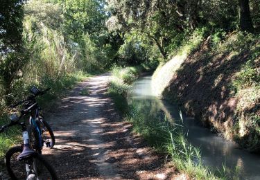 Trail Mountain bike Sarrians - Circuit de Sarrians bis - Photo