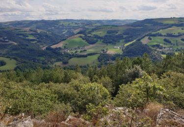 Trail Walking Plaisance - plaisance est - Photo