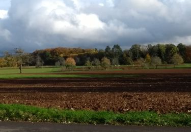 Excursión Bici eléctrica Fougerolles-Saint-Valbert - vélo 26-10-20 Predurupt - Photo