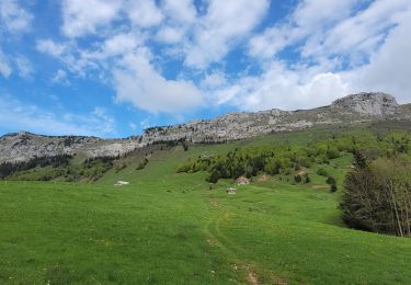 Percorso Marcia Doucy-en-Bauges - 250524 Le Trelod et la Dents des Portes - Photo