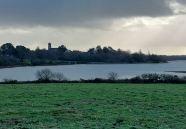 Trail Walking Vannes - PR_56_Vannes_AA_01_Pointe-De-Rosvelec_Circuit4a_20230115 - Photo