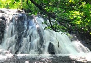 Trail Walking Nébouzat - Nebouzat_Puy_Pourcharet_1_JG_02 - Photo