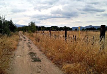 Tour Zu Fuß Collado Villalba - CV 2 - Camino de las Ventas de El Escorial - Photo