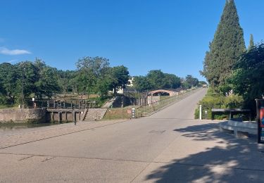 Trail Walking Béziers - CC_Piemont_AA_01_Beziers_Capestang_20240611 - Photo