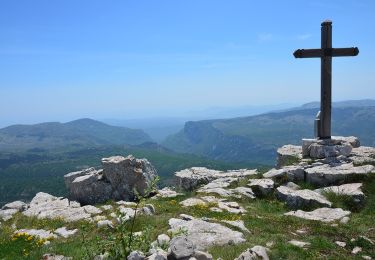 Trail Walking Gréolières - Gréolières les Neiges - Collet de Barri- Cime du Cheiron - Croix de Verse - Combe d'Henry - Photo