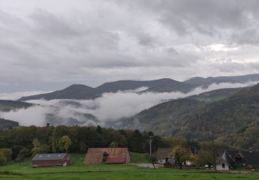 Percorso Equitazione Aubure - 2019-11-01 WE Aubure Freland - Photo