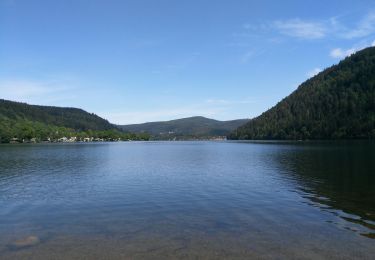 Trail Walking Xonrupt-Longemer - Lac de Xonrupt-Longemer - Photo