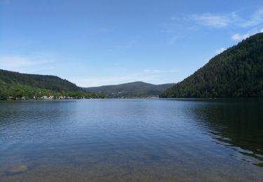 Tour Wandern Xonrupt-Longemer - Lac de Xonrupt-Longemer - Photo