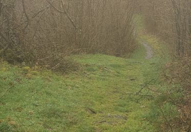 Tour Wandern Hüsseren-Wesserling - nouveau  sentier  - Photo