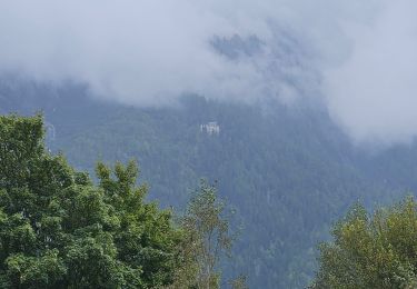 Tocht Stappen Chamonix-Mont-Blanc - J24 - R24 - Cascade du Dard - Lac des Gaillands 
 - Photo