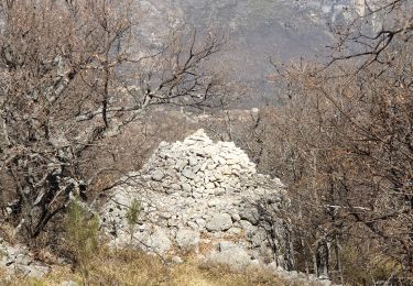 Tour Wandern Cipières - Cipieres - Borie - Graus de Pons - Photo