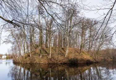 Tocht Te voet Wegberg - Nordic Walking Park Wegberg Route Blau - Photo