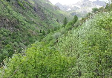 Excursión Senderismo Valjouffrey - Valbonnais Valsenestre 3 (Nord) - Photo