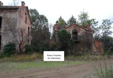 Tour Wandern Fréjus - 54 T.M.F Esterel - Photo