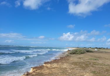 Excursión Cicloturismo Saint-Denis-d'Oléron - Oleron 2 - Photo