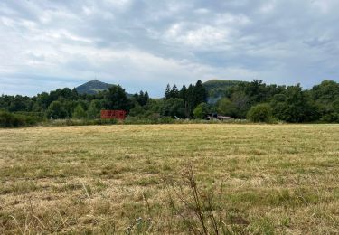 Trail sport Orcines - Le Puy des Goules - Photo