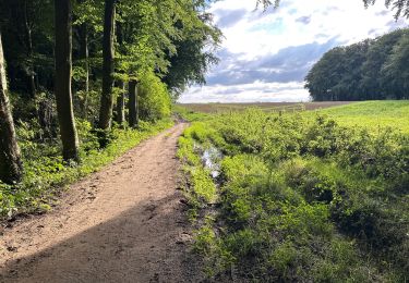 Tocht Stappen Elzele - Ellezelles 26,8 km - Photo