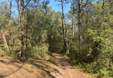 Trail Walking Saint-Jean-de-Monts - Saint Jean de Monts - Photo