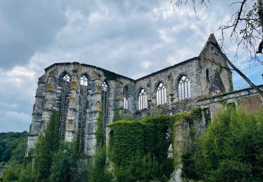 Trail Walking Thuin - L’abbaye d’Aulne à Thuin - Photo