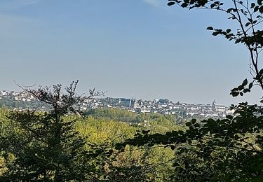 Randonnée Marche Saint-Gervais-la-Forêt - La Chaussée St Victor  - Photo