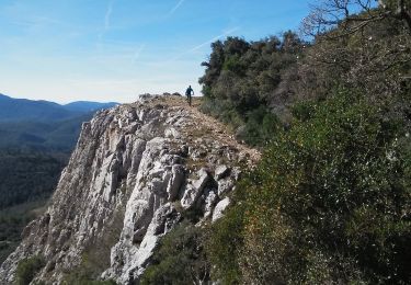 Trail Mountain bike La Roquebrussanne - Barres de Cuers - Photo