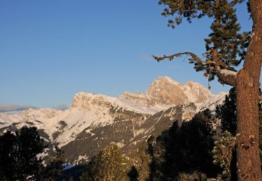 Percorso A piedi Castelrotto - IT-9 - Photo