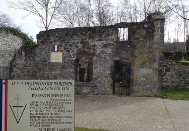 Tocht Stappen Volvic - Puy de Paugnat Lespinasse - Photo