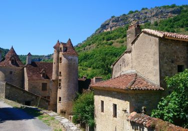 Tocht Noords wandelen Loubressac - Loubressac, Autoire, château des anglais.  - Photo