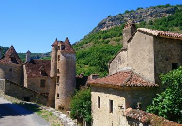 Trail Nordic walking Loubressac - Loubressac, Autoire, château des anglais.  - Photo