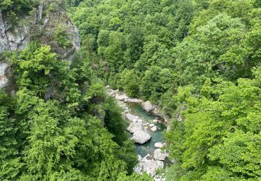 Trail Walking Cusy - Grosse balade du cheran - Photo