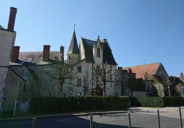 Tour Wandern Coteaux-sur-Loire - Saint-Michel-sur-Loire - GRP Coteaux de Bourgueil Saint-Patrice - 21.7km 240m 4h45 (35mn) - 2023 04 19 - Photo