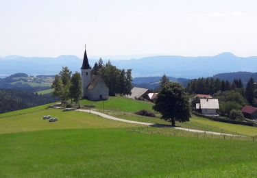 Randonnée A pied Slovenska Bistrica - Gozdna učna pot Bojtina (pohodna pot) - Photo