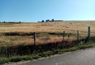 Tocht Stappen Saint-Bonnet-le-Courreau - les jasserie de Garnier - Photo