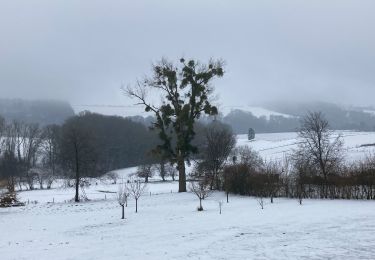 Percorso Marcia Yvoir - Durnal / 2021-01-17 / 29 km - Photo