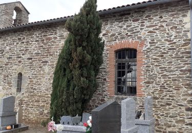 Randonnée Marche Mouzieys-Teulet - Lou cami de Theoulet - Photo