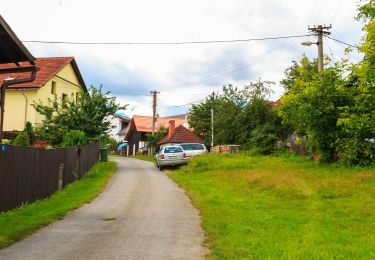 Randonnée A pied Havlíčkův Brod - NS Park Budoucnost - Vlkovsko - Photo