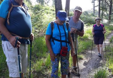 Excursión Senderismo L'Orbrie - balingue - Photo