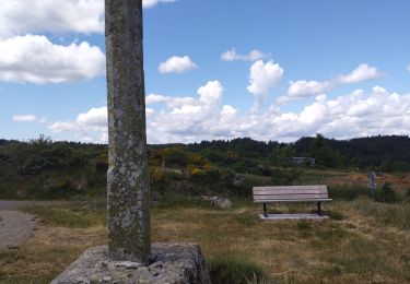 Tocht Lopen Rocles - Rocles - Photo