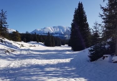 Excursión Raquetas de nieve Saint-Agnan-en-Vercors - la coche - Photo