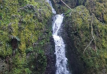 Randonnée Marche Urmatt - Cascade de Soultzbach - Montpellier-Le-Vieux - Photo